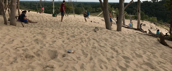 The view from atop a huge mountain of sand in Warren Dunes State Park. Photo: John Greenfield