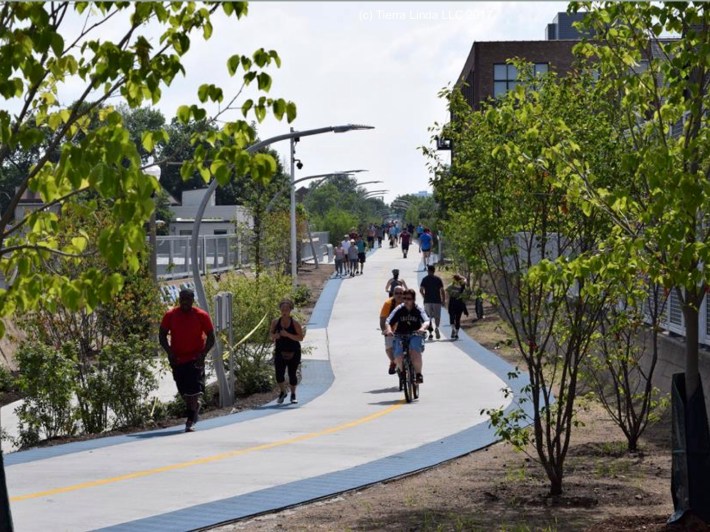 The Bloomingdale Trail. Photo: LUCHA