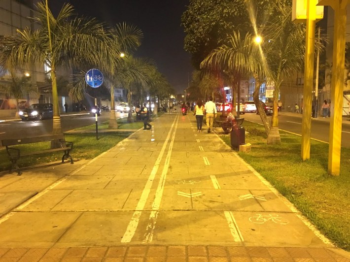 A boulevard bike path in Lima. Photo: Oboi Reed