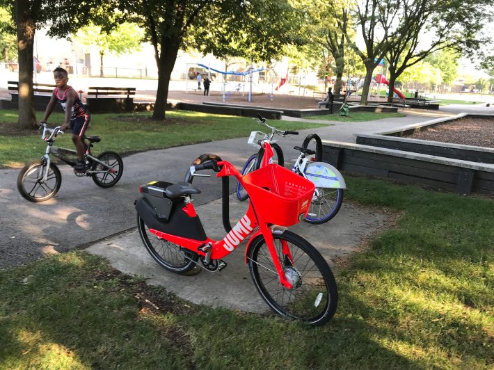 DoBis in Hegewisch's Mann Park. Photo: John Greenfield