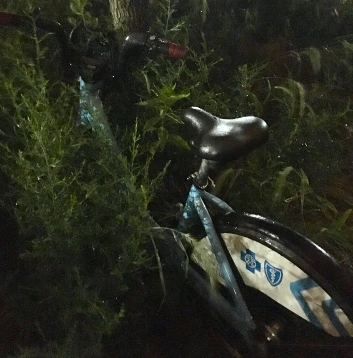 A Divvy left in some bushes at Chinatown's Ping Tom Park. Photo: Dubi Kaufmann