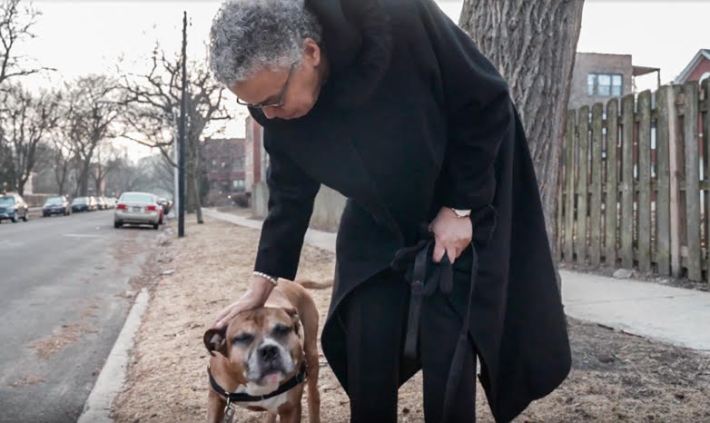 Toni Preckwinkle walks her dog Don. Photo via the Preckwinkle campaign