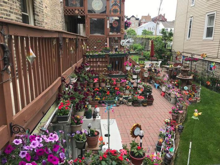 A patio in Pilsen. Photo: Lynda Lopez