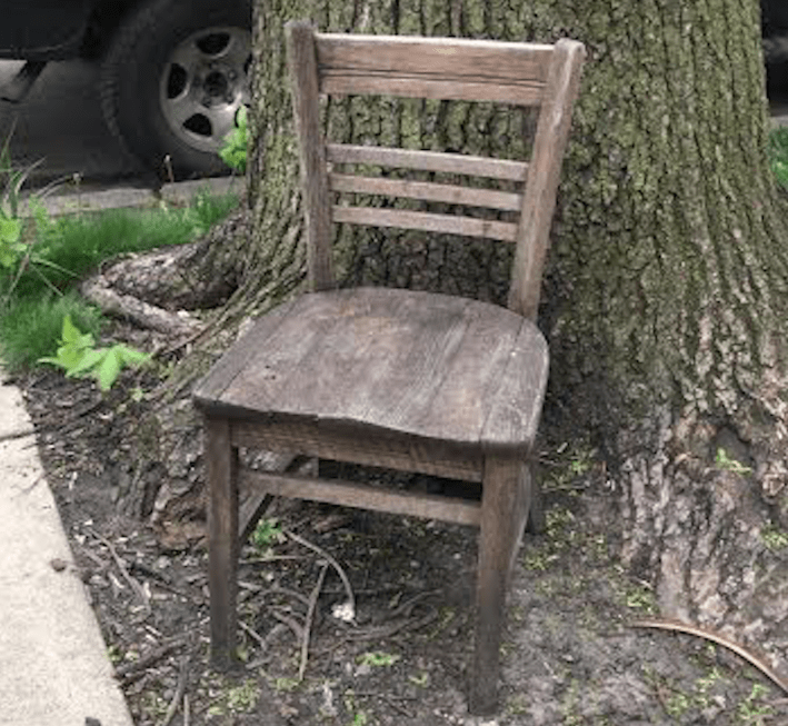 A chair set next to a tree on a parkway in Little Village. Photo: Lynda Lopez