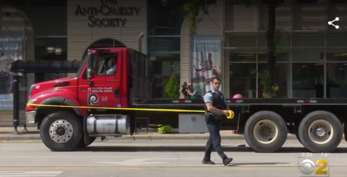 The truck from the Boshardy crash. Image: CBS Chicago