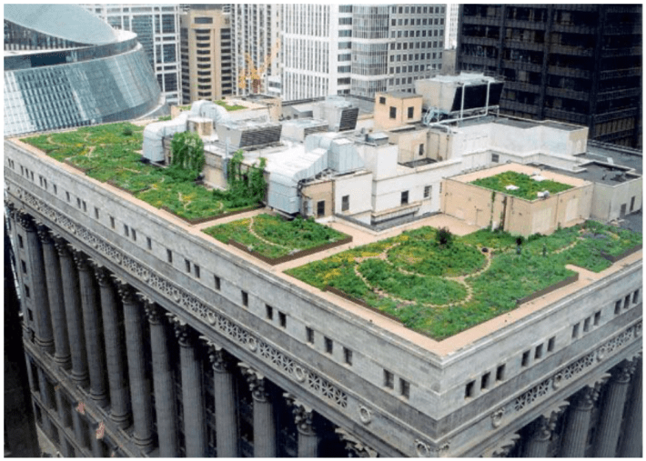 The green roof at City Hall. Photo: Mark Farina, Land8
