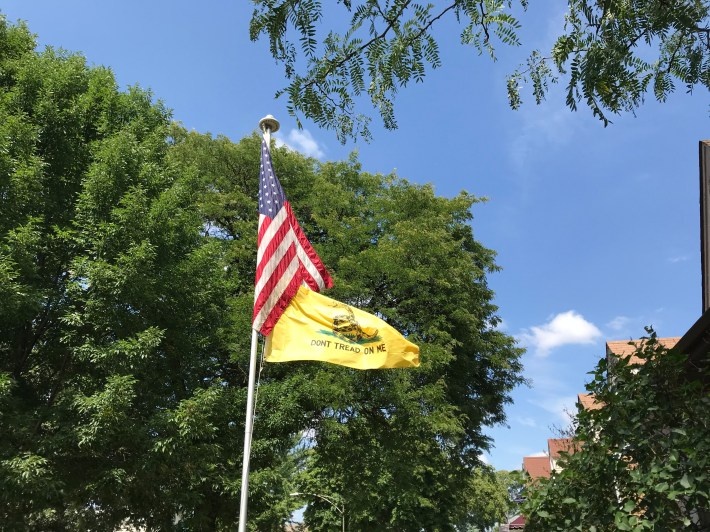 A "Don't Tread on Me" flag in Mount Greenwood. Photo: John Greenfield