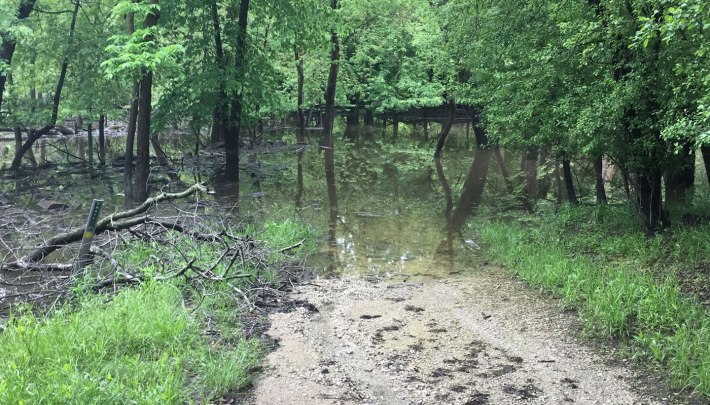 Typical flooding on the trail after spring rains. Photo: FPDCC