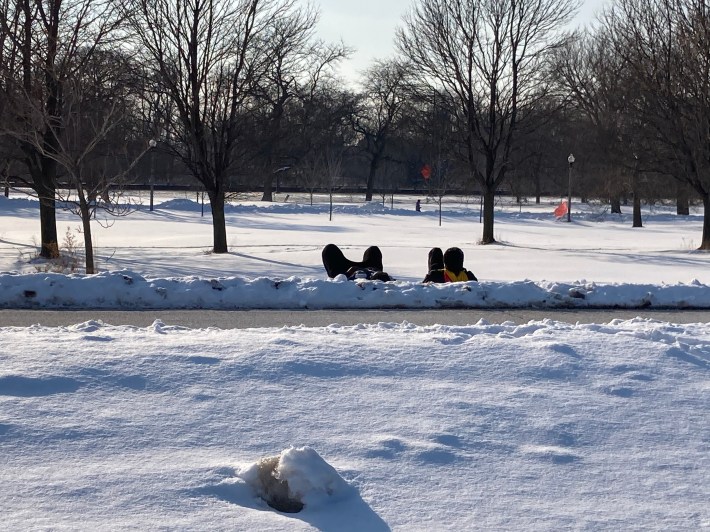 Lounging in the snow. Photo: John Greenfield