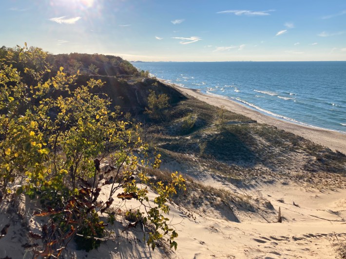 The view from the top of a dune on Saturday afternoon. Photo: John Greenfield