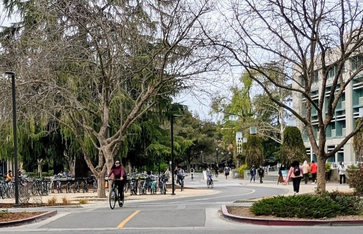 Calle para bicicletas en UC Davis. Foto: Ruth Rosas