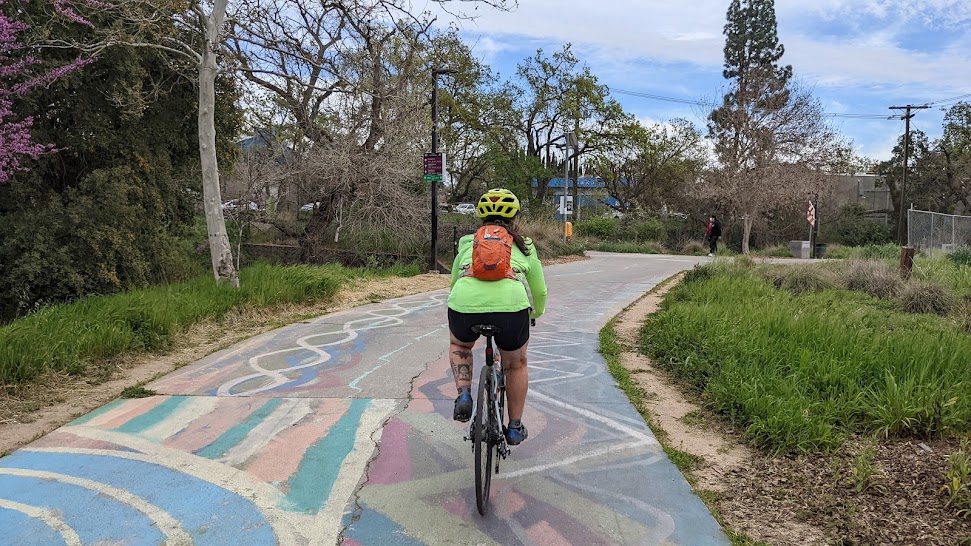 A bike path in Davis, California