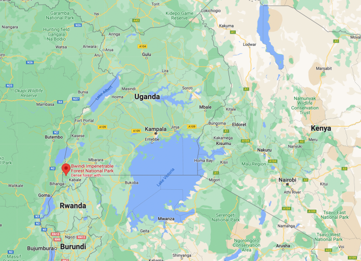 The Bwindi area in southwest Uganda. Image: Google Maps