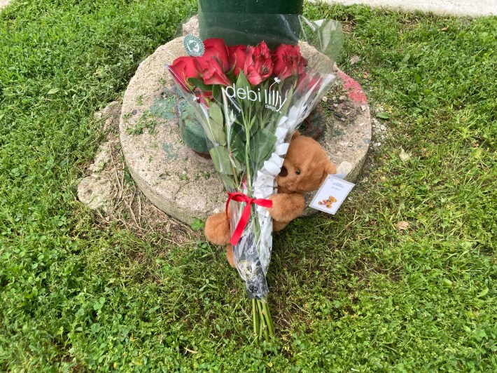 Roses and a Teddy beae left at the crash site. Photo: John Greenfield