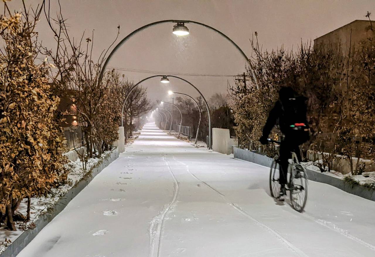 The Bloomingdale Trail yesterday evening. Photo: Michael Burton
