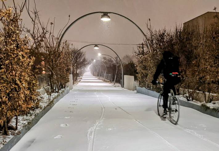 The Bloomingdale Trail yesterday evening. Photo: Michael Burton