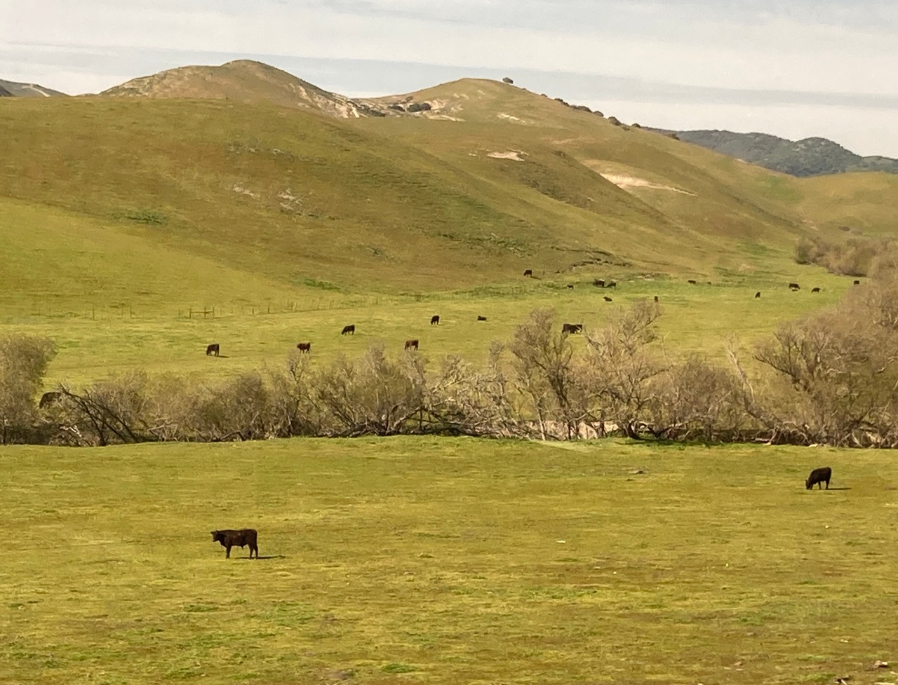 Surreal farmland as seen from the train in Santa Barbara County. Photo: John Greenfield