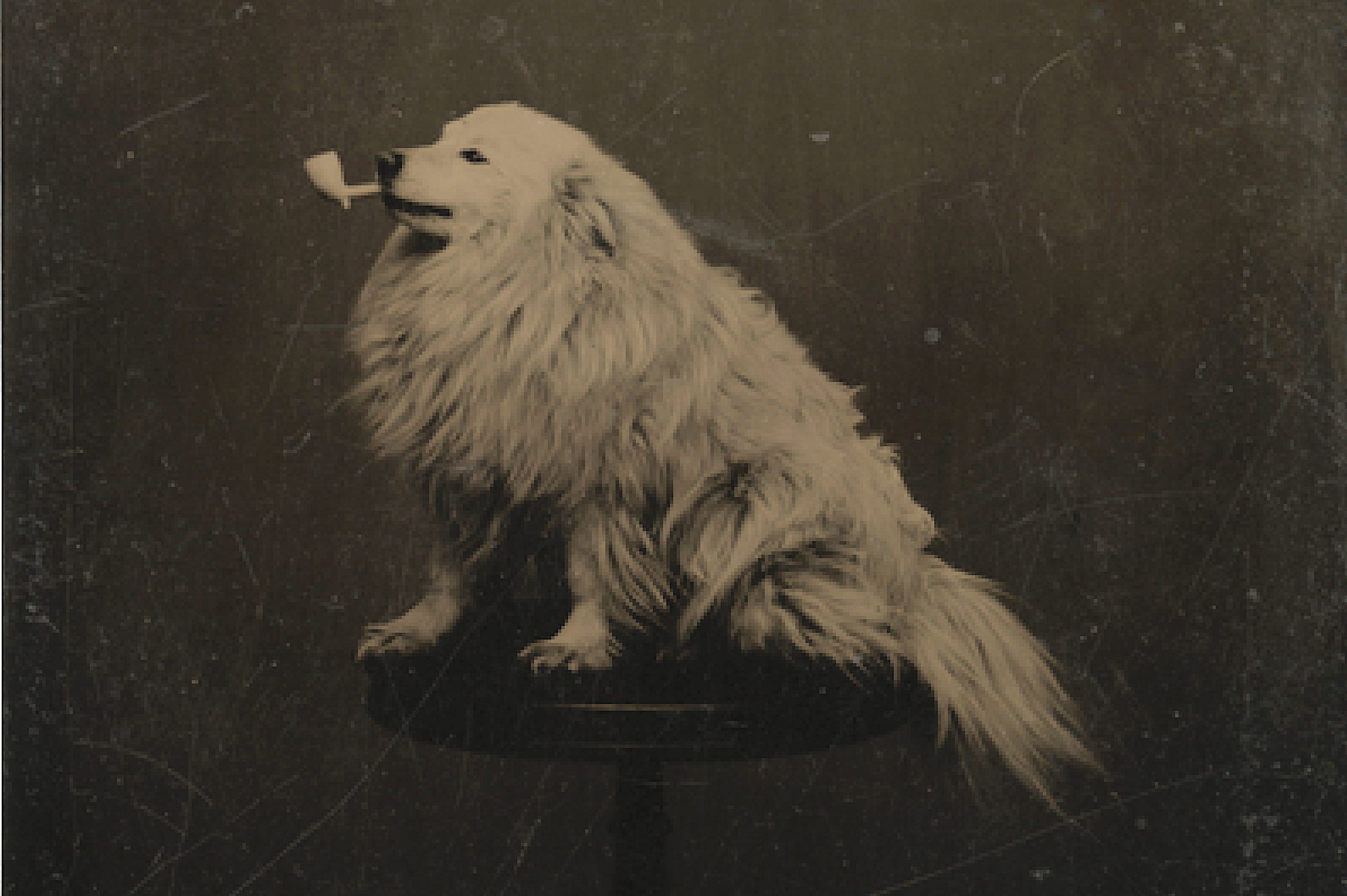 “Streetsblog Chicago versus smoking on the CTA,” part two: A sociology student, a lung health advocate, and a transportation expert share their POVs